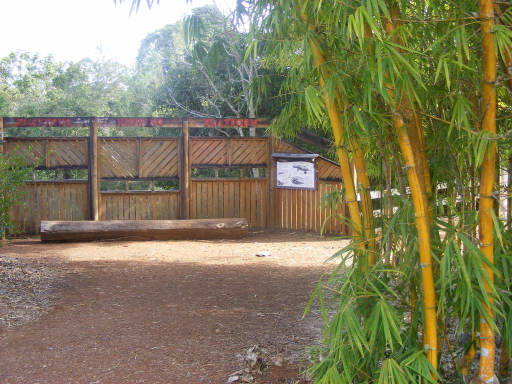 Lake Eacham Tourist Park & Cabins Exterior photo