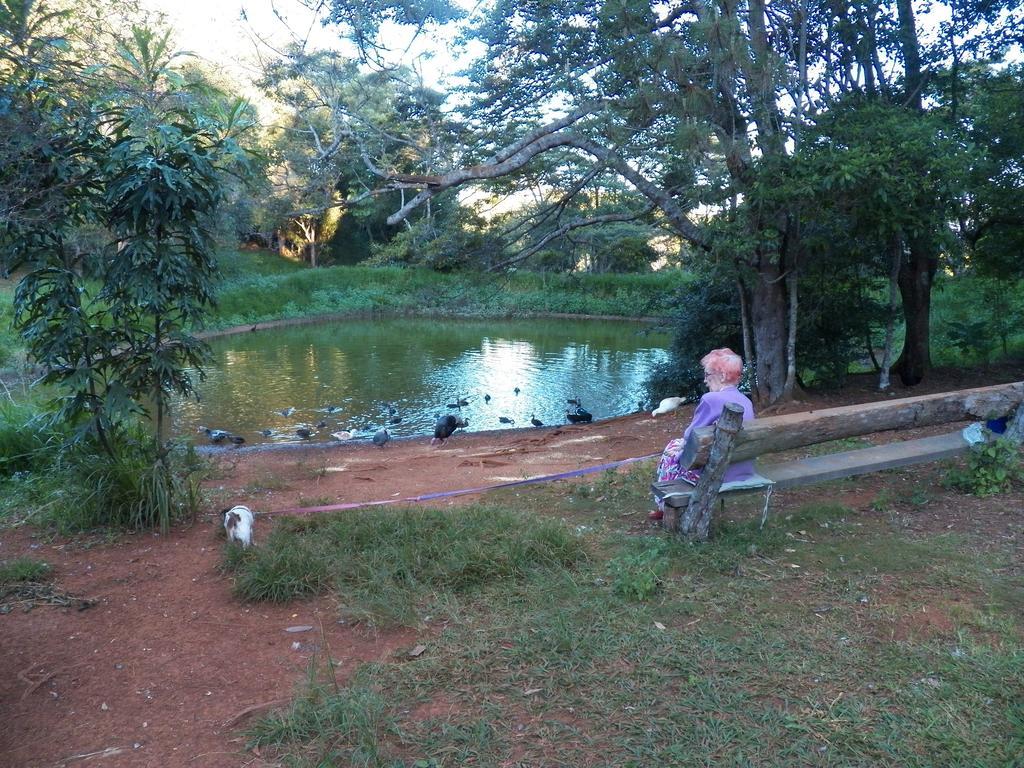 Lake Eacham Tourist Park & Cabins Exterior photo