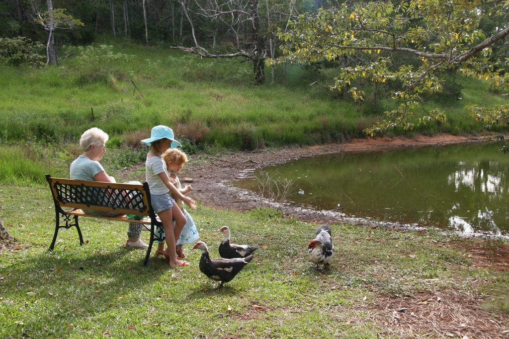 Lake Eacham Tourist Park & Cabins Exterior photo