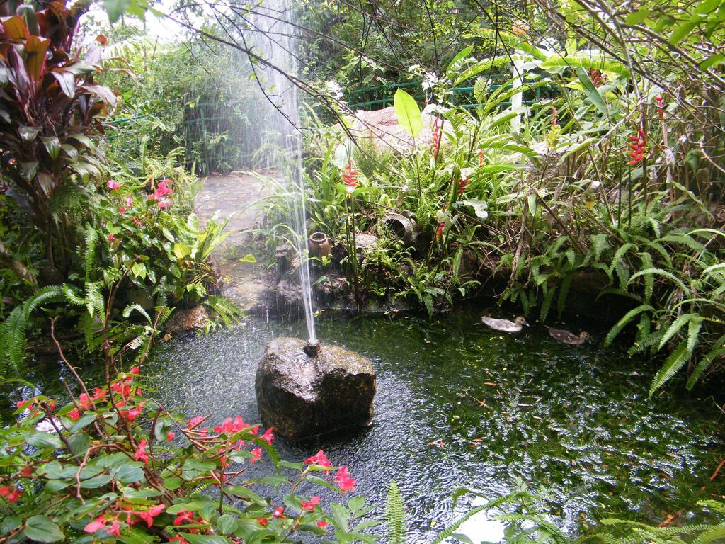 Lake Eacham Tourist Park & Cabins Exterior photo