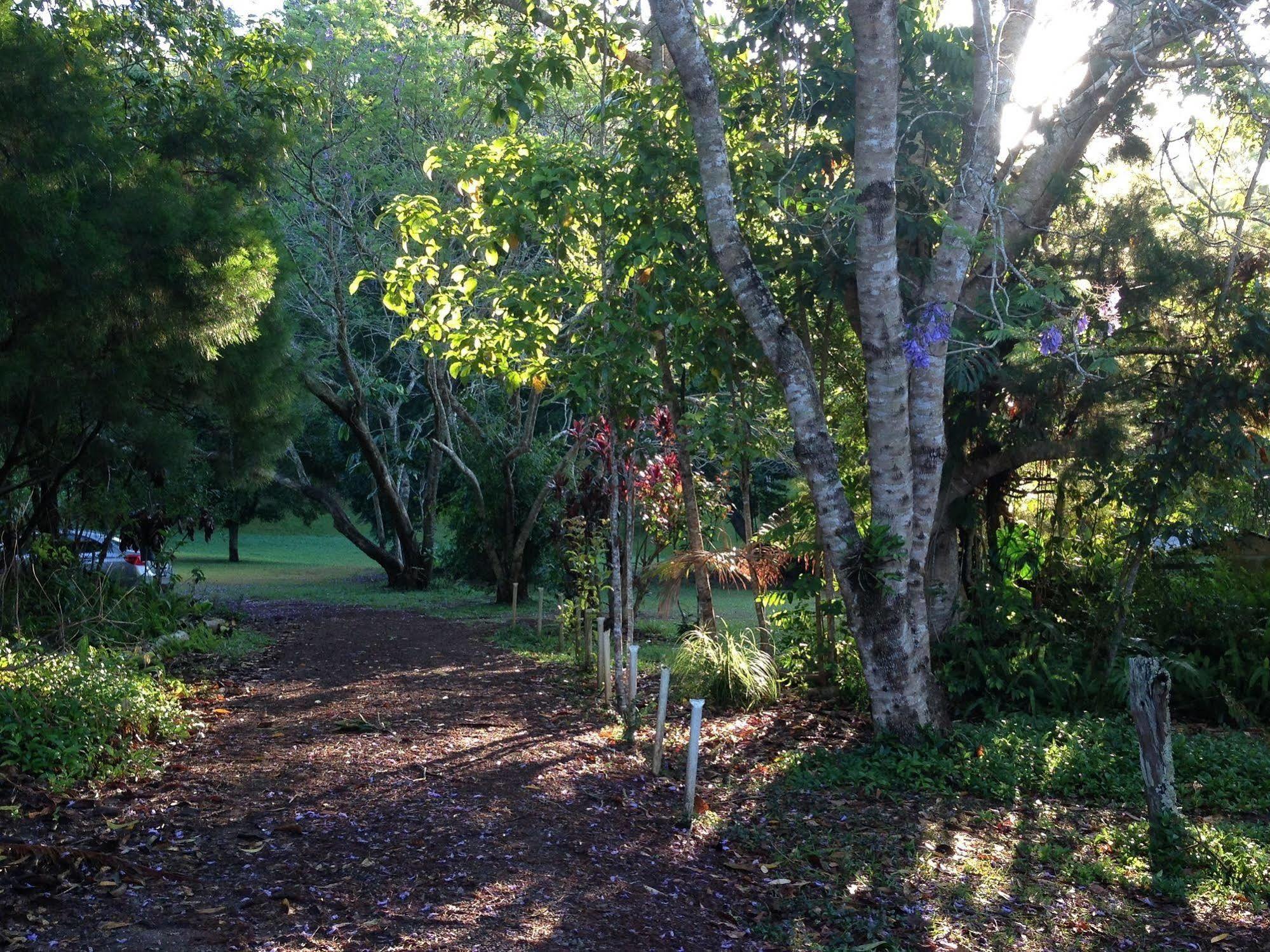 Lake Eacham Tourist Park & Cabins Exterior photo