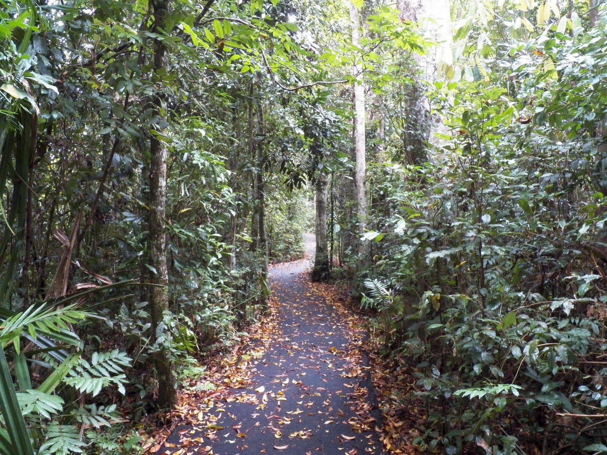 Lake Eacham Tourist Park & Cabins Exterior photo